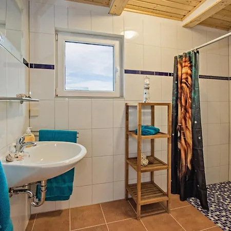 Sturmmöwe * Ückeritz