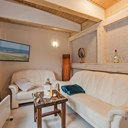 Sturmmöwe Ückeritz