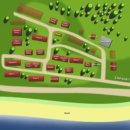 Sturmmöwe Ückeritz